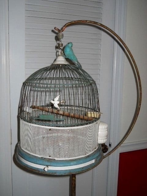 Bird cages vintage
