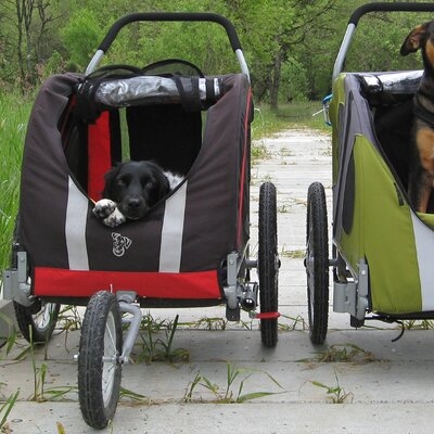 baby and dog stroller combined