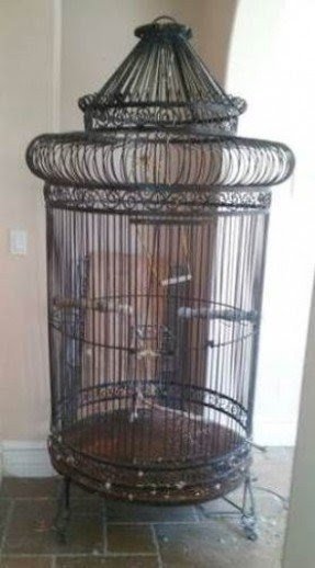 5 foot bird cage