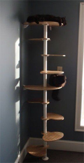 Buy Cat Tree - Ideas on Foter