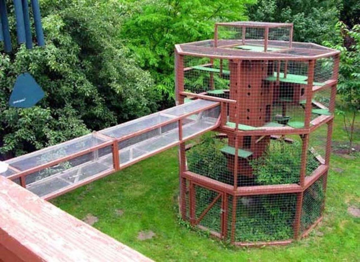 Outdoor Cat Playpen Ideas On Foter