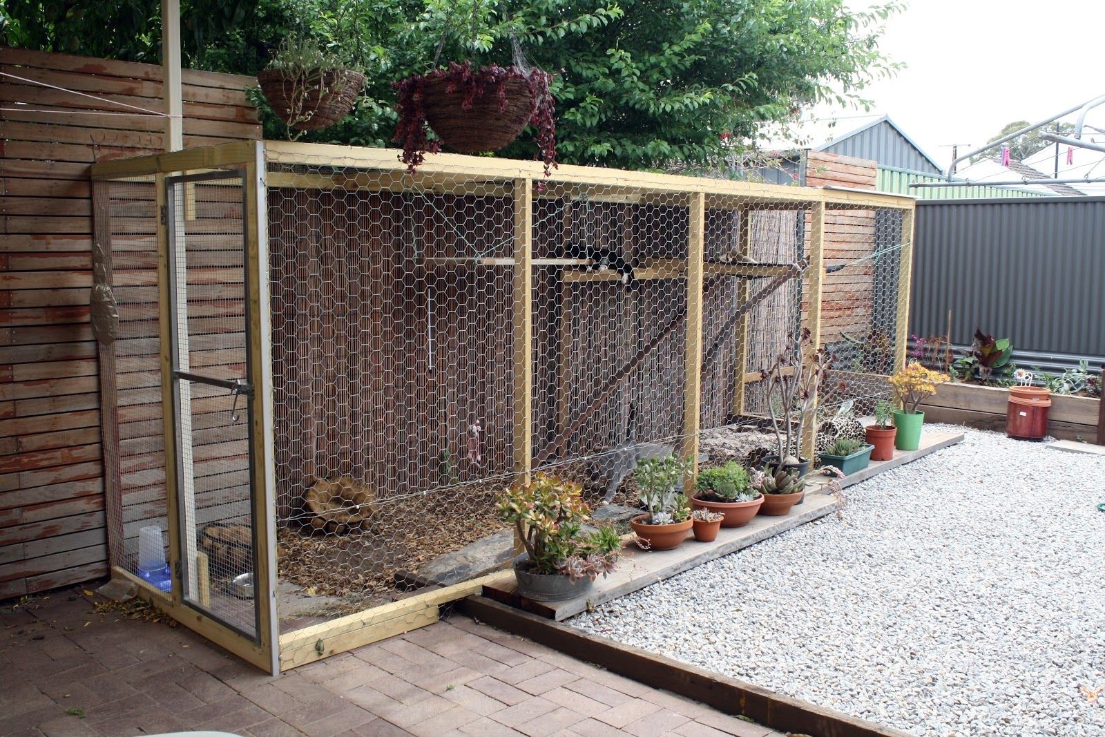 outdoor cat kennel