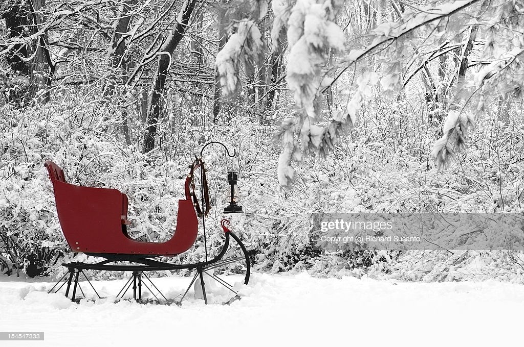 outdoor santa in sleigh