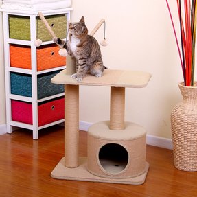 Best Whisker City Cat Tree For Sale Ideas On Foter