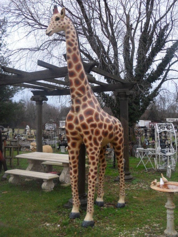 Tall giraffe statue