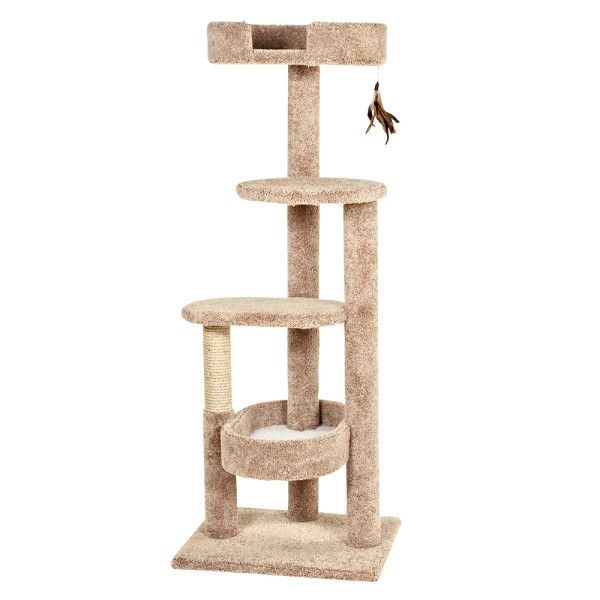 Whisker city cat outlet toys