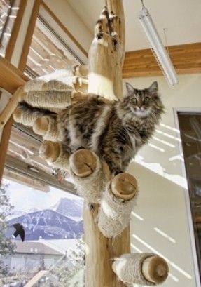 Cat tree sisal rope