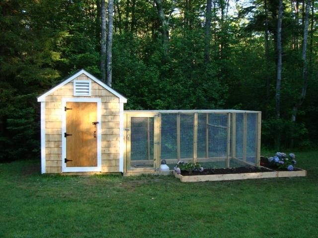 Chicken coop for 8 chickens 1
