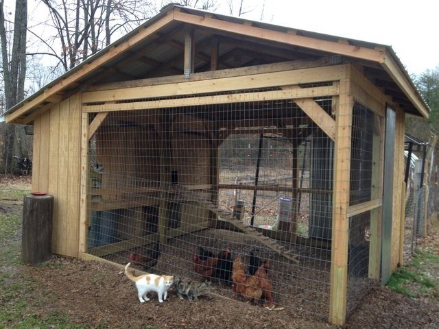 Chicken Coop For 8 Chickens - Ideas on Foter