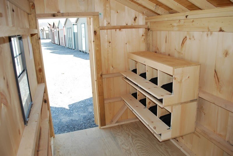 5-best-chicken-coop-for-8-chickens-reviews-guide-ideas-on-foter