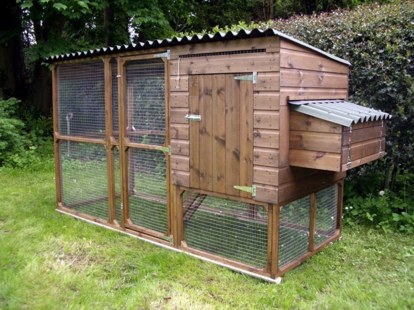 Chicken coop for 8 chickens
