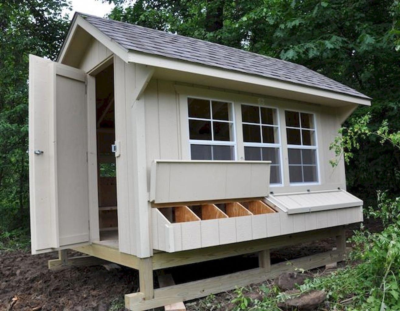 Chicken Coop For Six Hens at Matthew Schreck blog