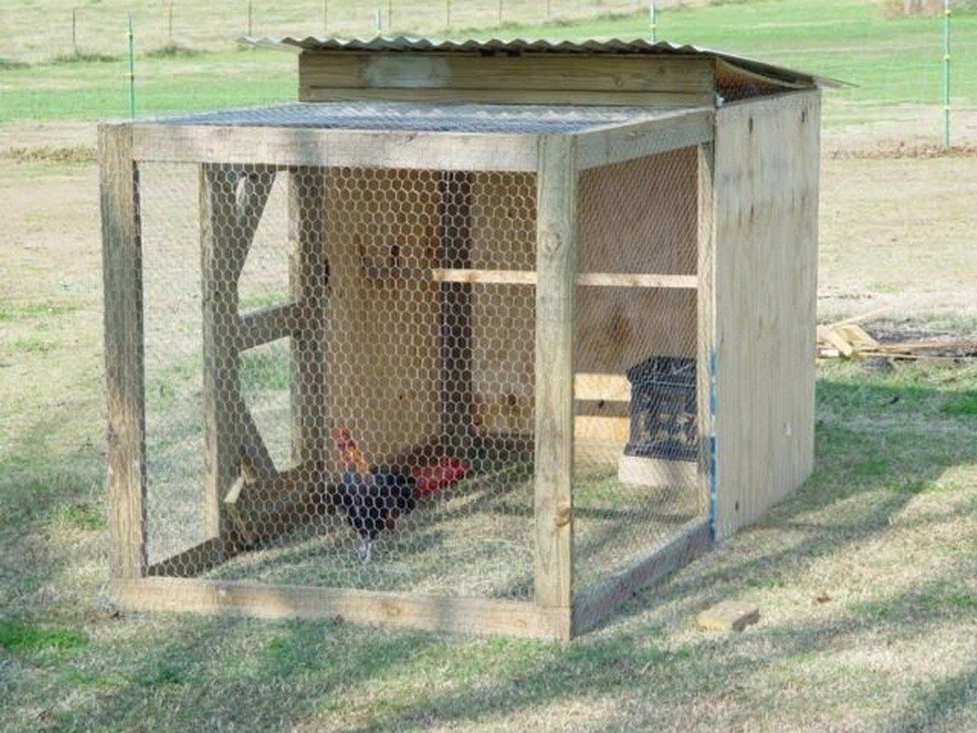 5 Best Chicken Coop For 8 Chickens (Reviews & Guide) Ideas on Foter