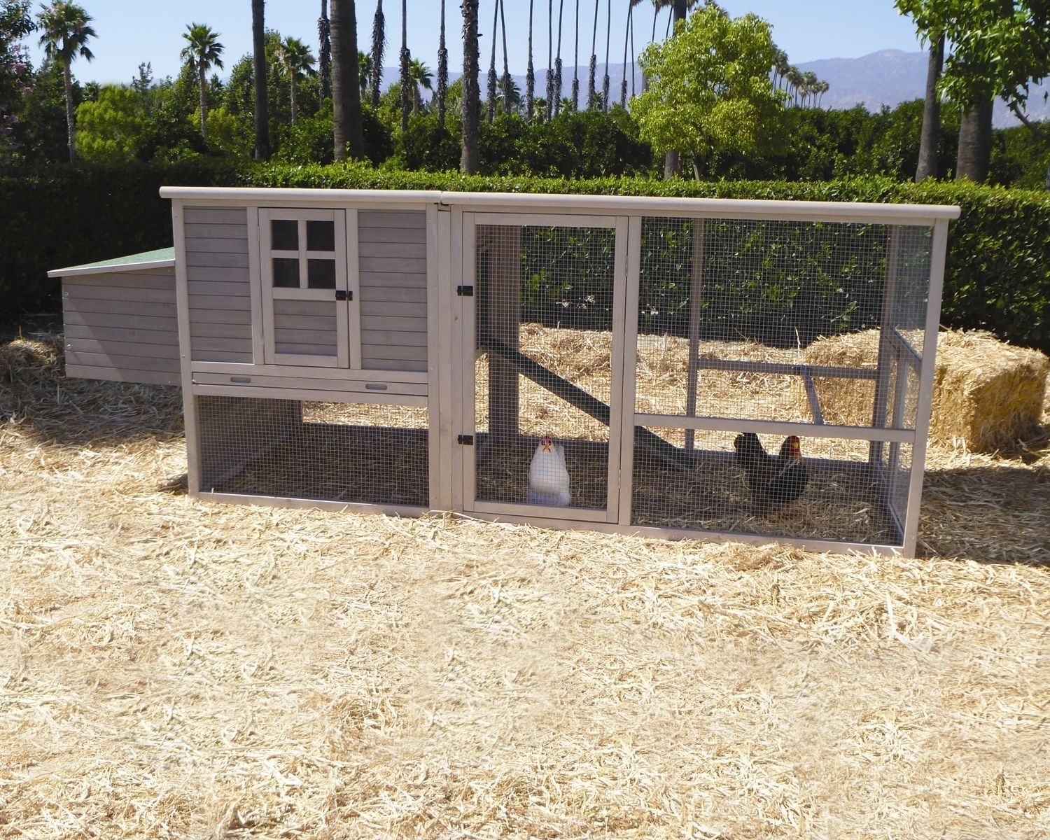 NEW Extreme Solid Wood Construction 6 to 8 Capacity Hen House Chicken Coop