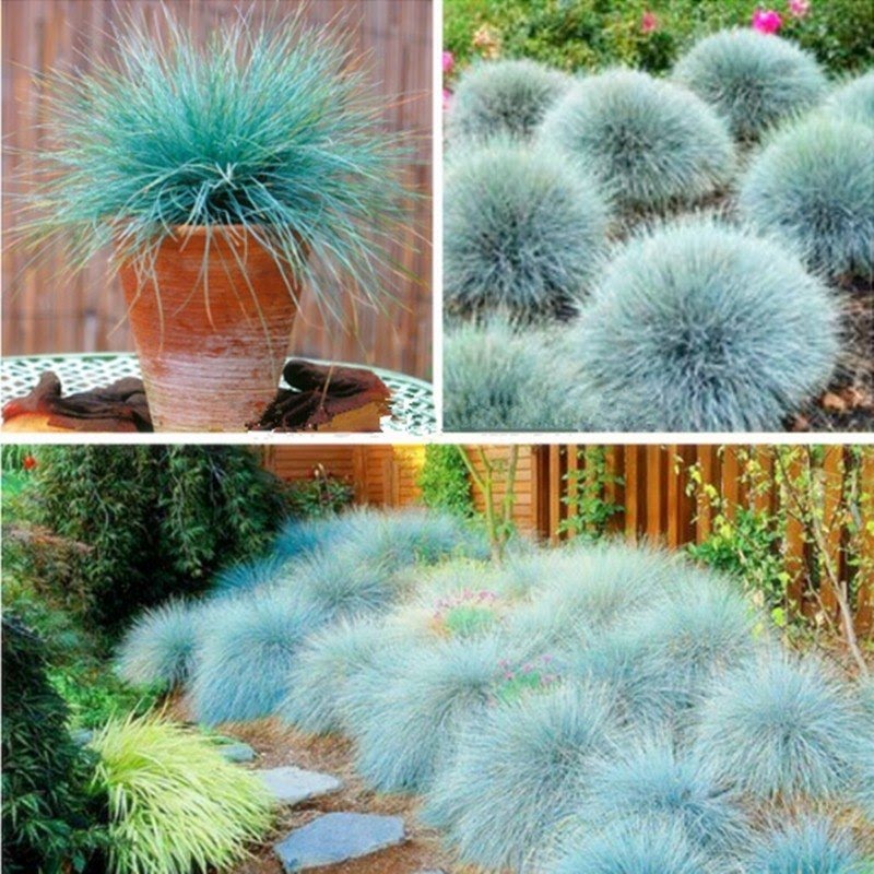 Outdoor Lawn Ornaments - Foter