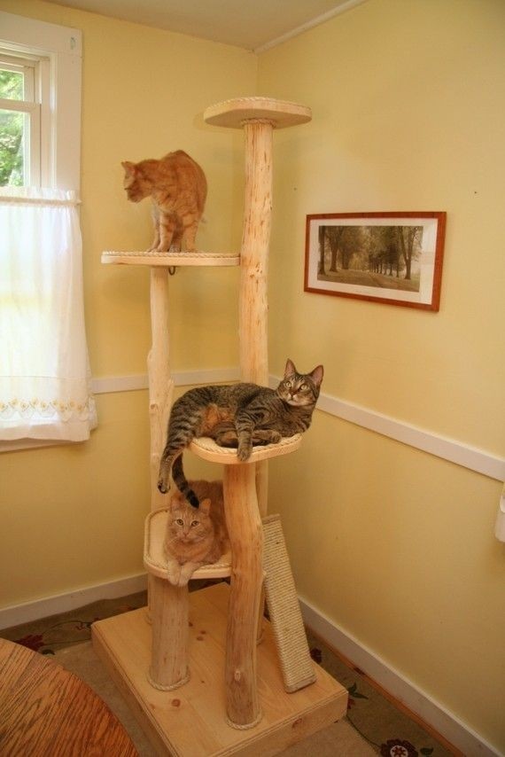 Sisal Cat Tree - Foter