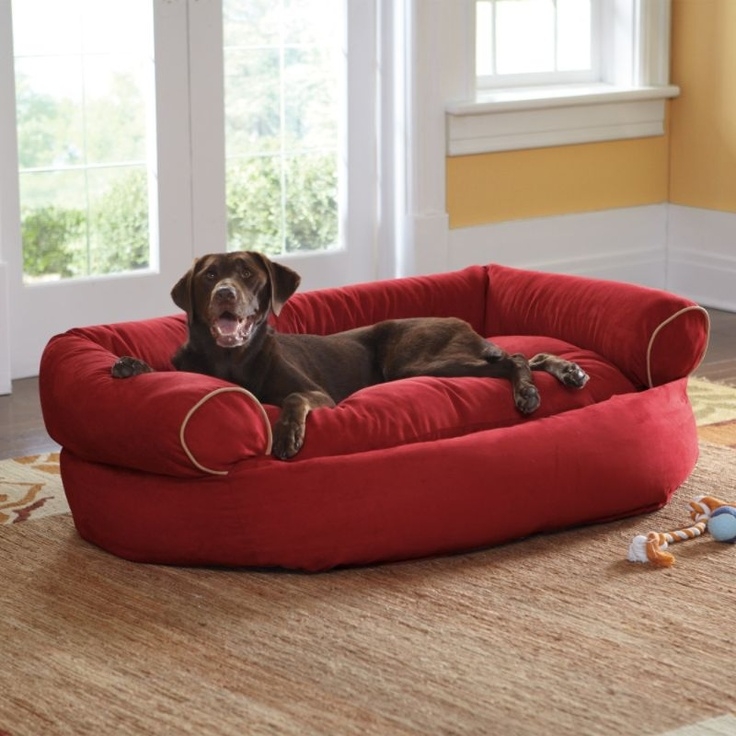 Dog Couch Bed Foter