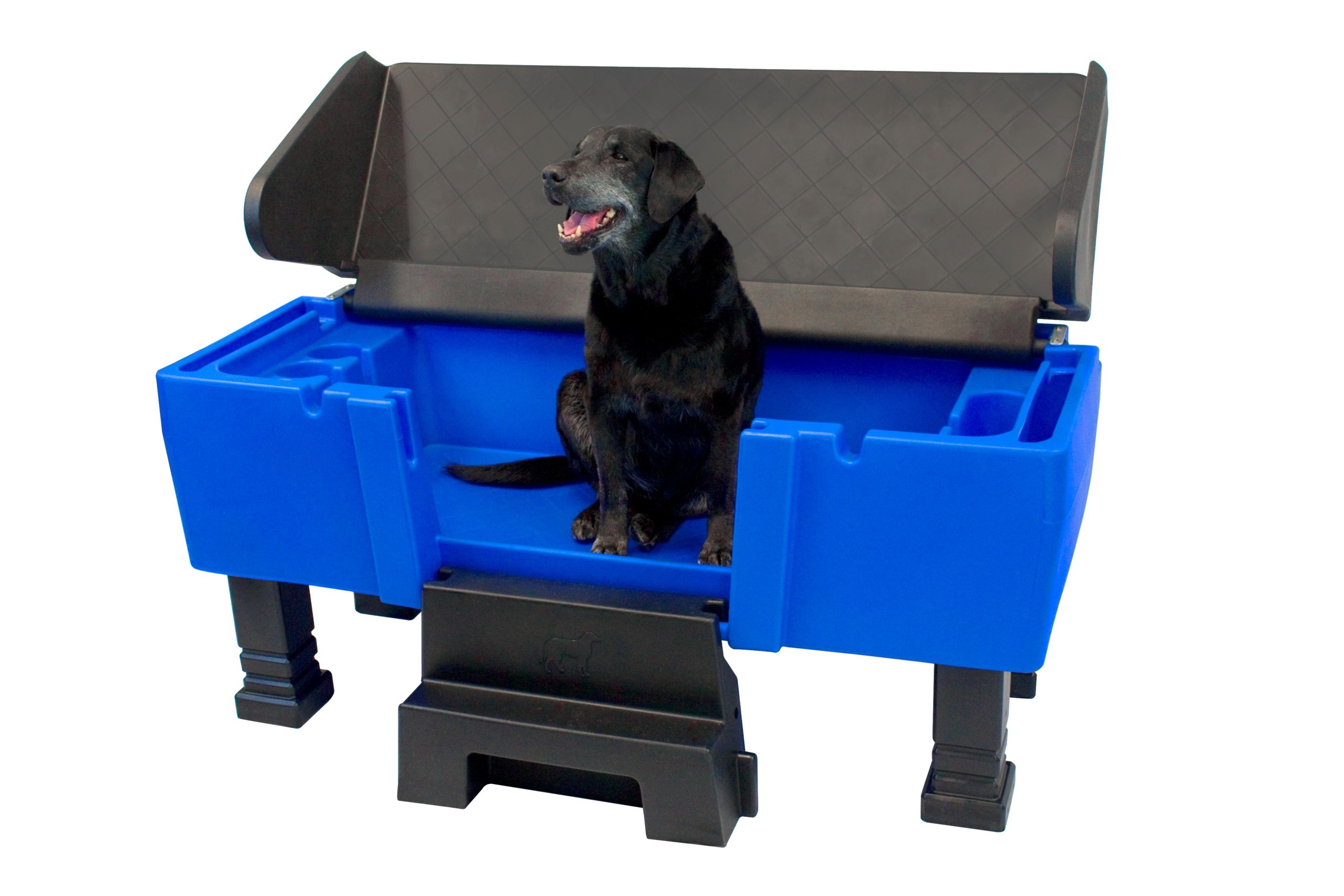 Portable dog best sale grooming tub