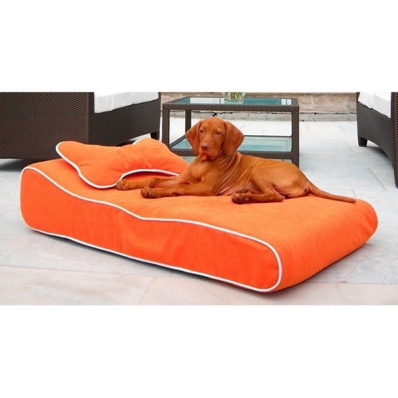 pool lounger foam
