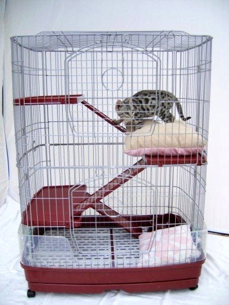 Indoor cat cages 1