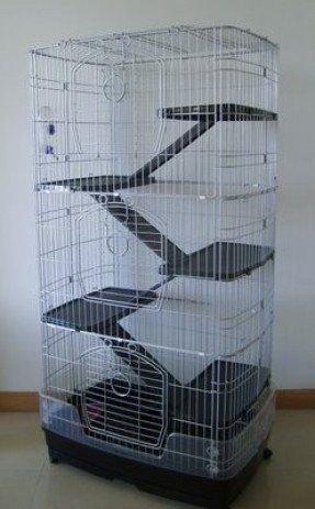Indoor cat cages