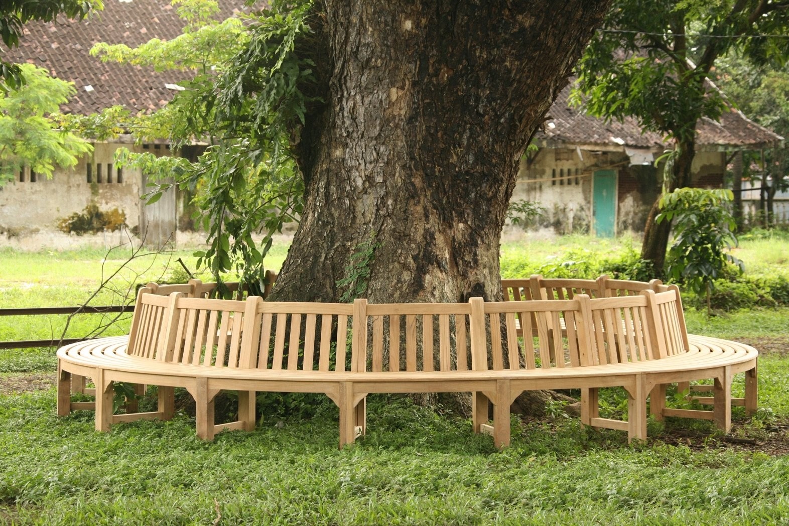 Extra large tree bench