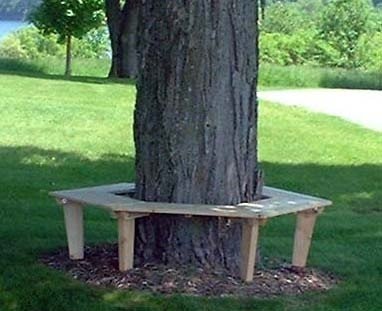 Tree bench 5