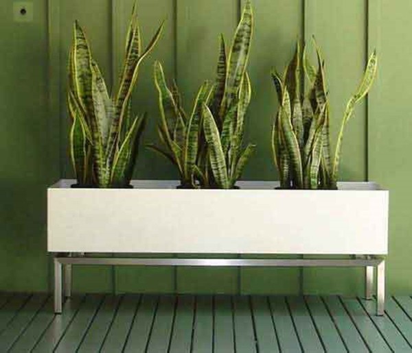 20+ Indoor Planter Box Ideas