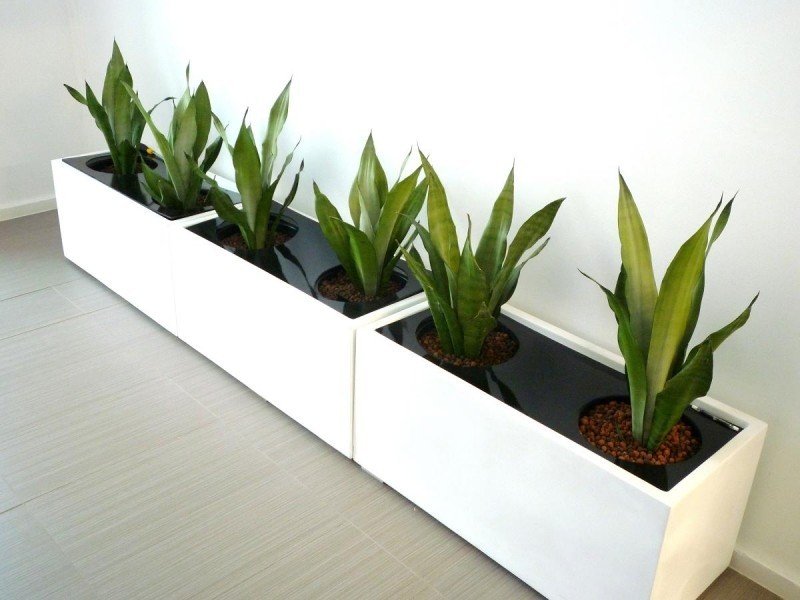 Indoor Planter Boxes - Ideas On Foter