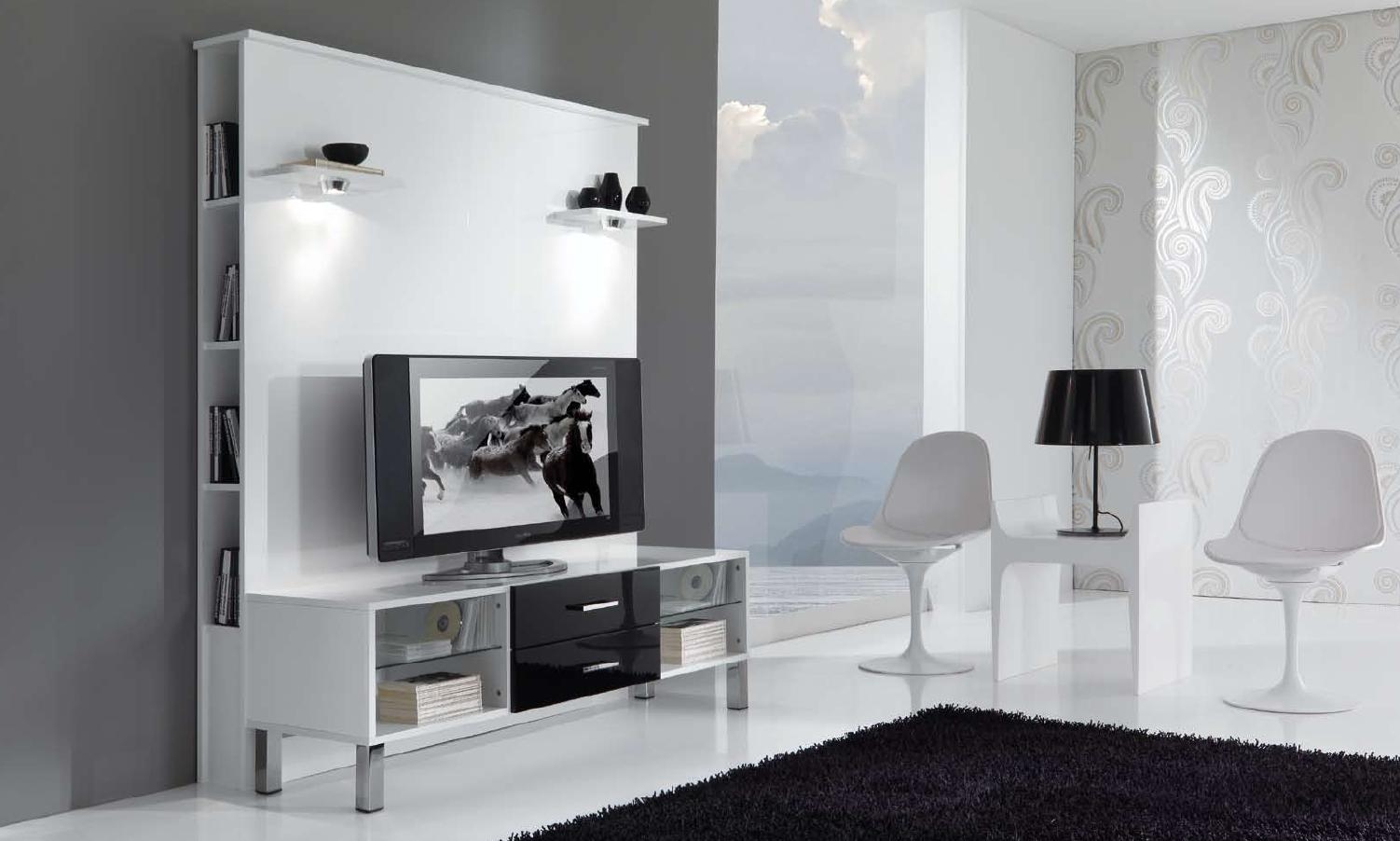 Modern tv stand with store back panel