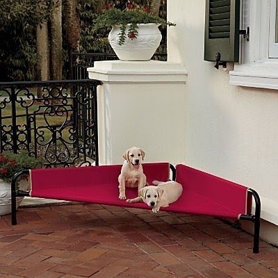 Outdoor dog outlet bench