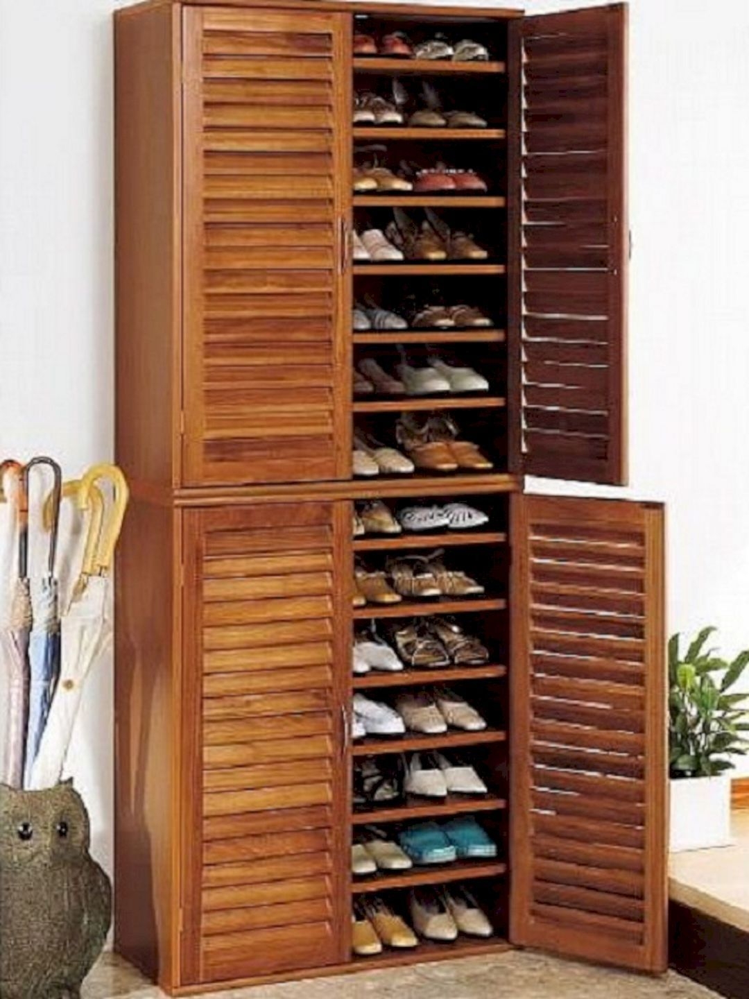 Enclosed on sale shoe rack