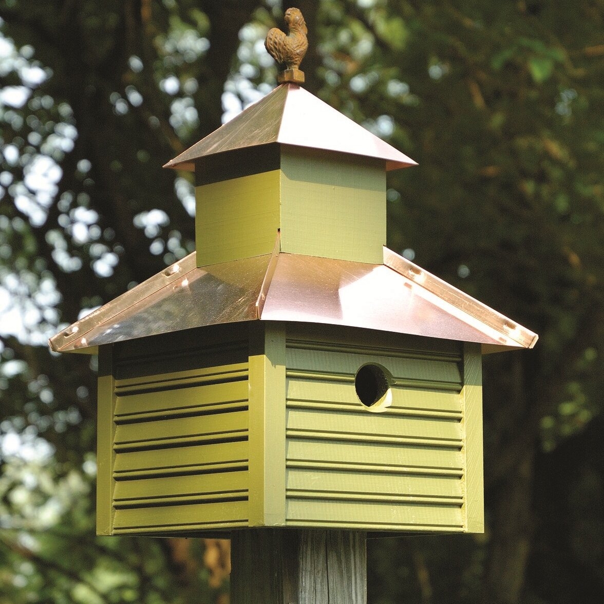 Rusty Rooster Birdhouse