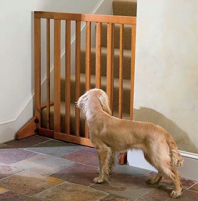 blocking stairs from dog