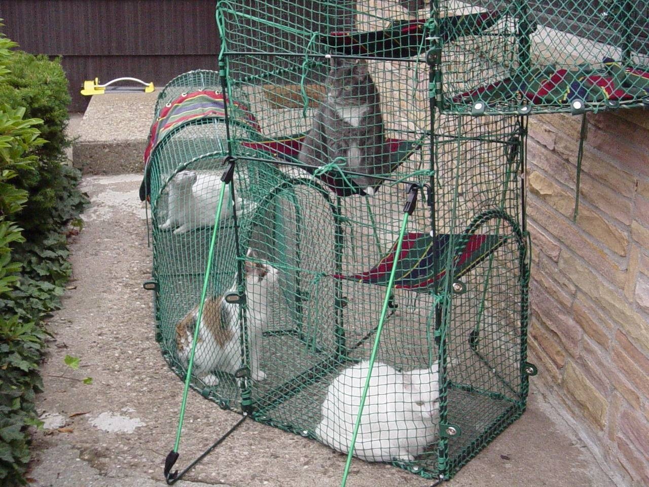 Animal cages for cats