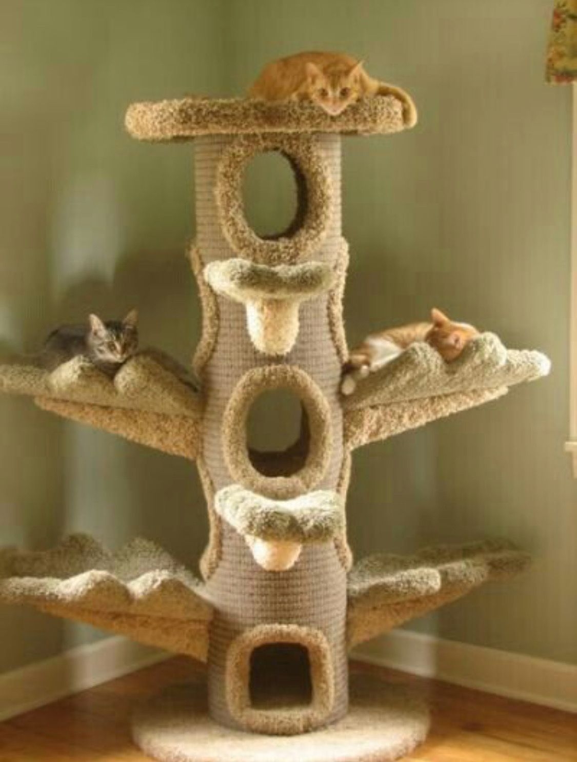 Best cat tree for big cats best sale