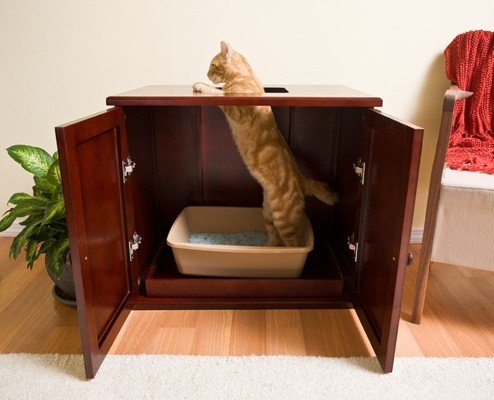 Dog proof litter outlet box furniture