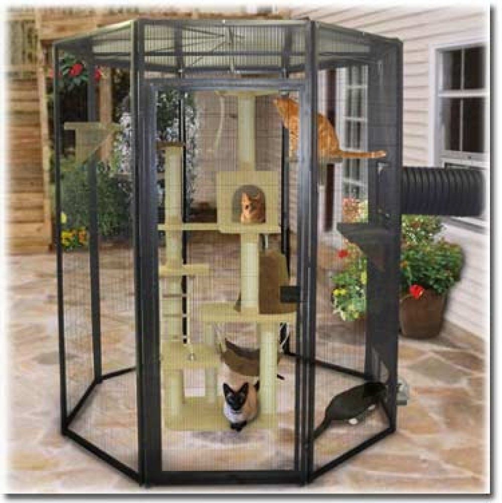 Outdoor cat cage
