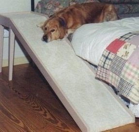 pet ramp for bed