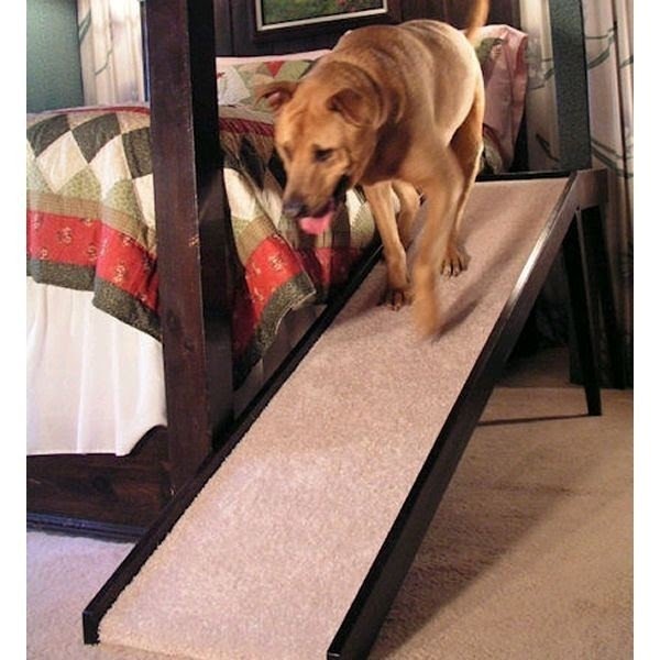 Ramps for dachshunds