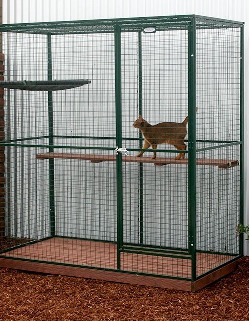 Large cat cage clearance indoor