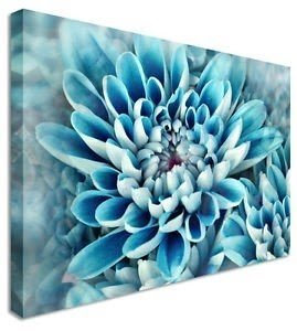 Blue floral flower canvas wall art picture large any size