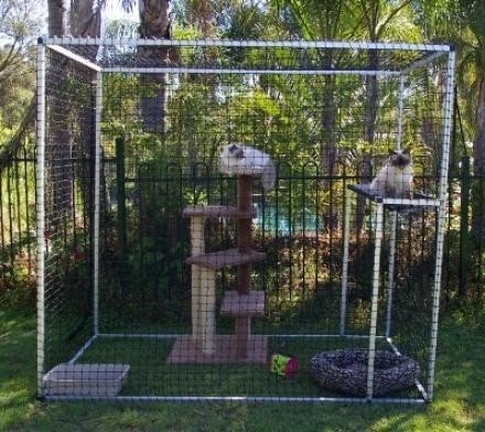 Cat Cages Enclosures - Foter