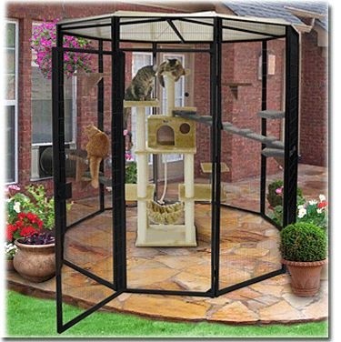 Cat outdoor enclosures available at cagesbydesign com 1