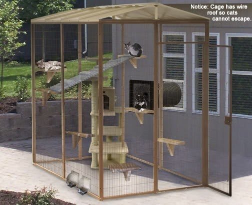 Outdoor Cat Playpen - Foter