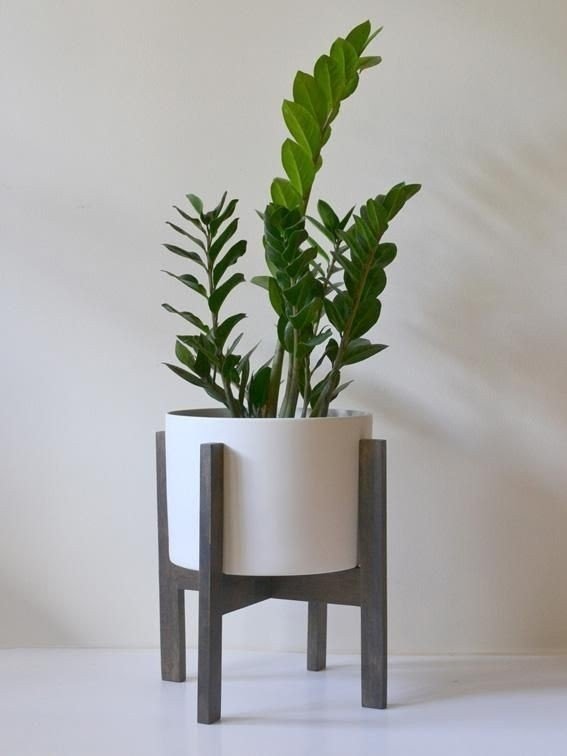 pine plant stands indoor