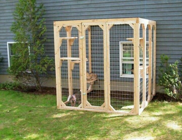 Outside cat enclosures