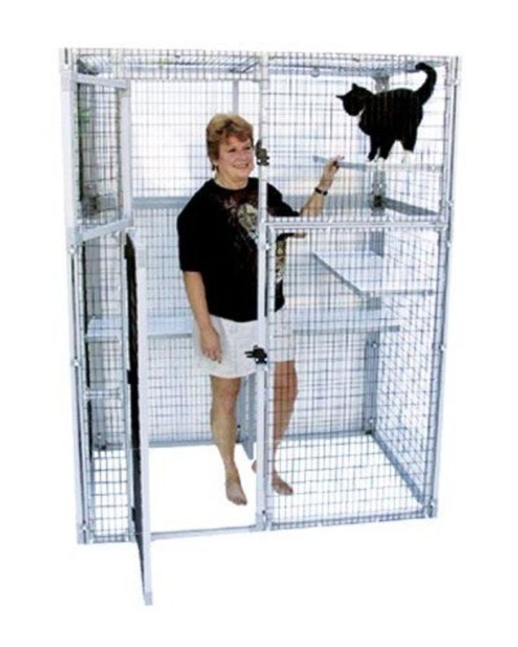 Inside cat clearance enclosures