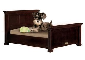 Dog Beds That Look Like Real Beds   Foter