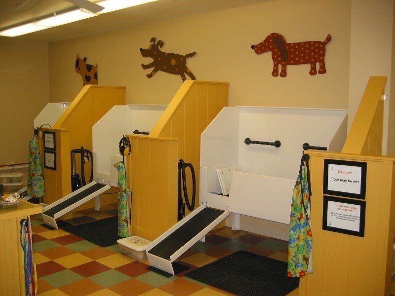 dog grooming bath tubs